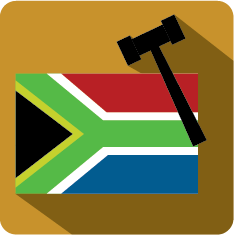 REPUBLIC OF SOUTH AFRICA CONSTITUTION.png
