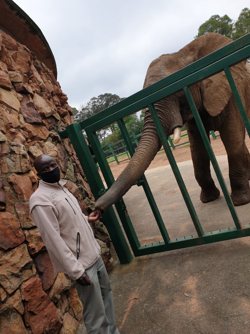 A DAY IN THE LIFE OF A ZOOKEEPER (4).jpeg