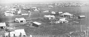 melvillekop.jpg